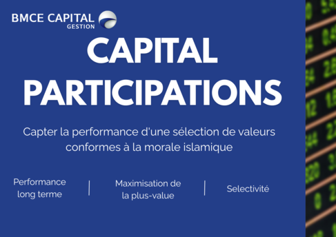 Visuel Capital Participations